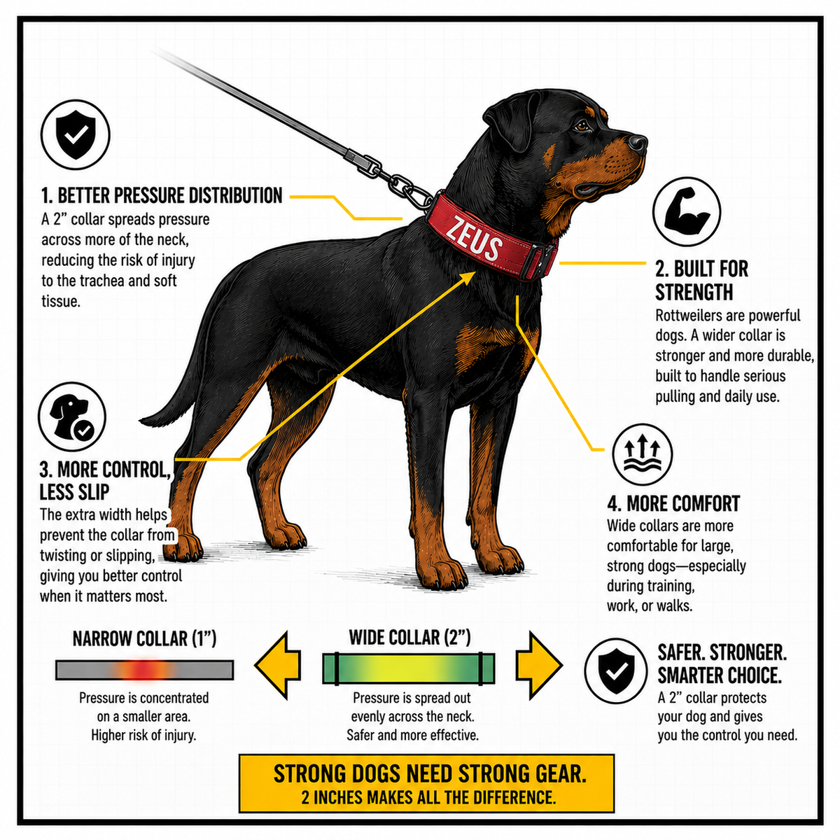 2. Designed For The Anatomy of Strong Breeds