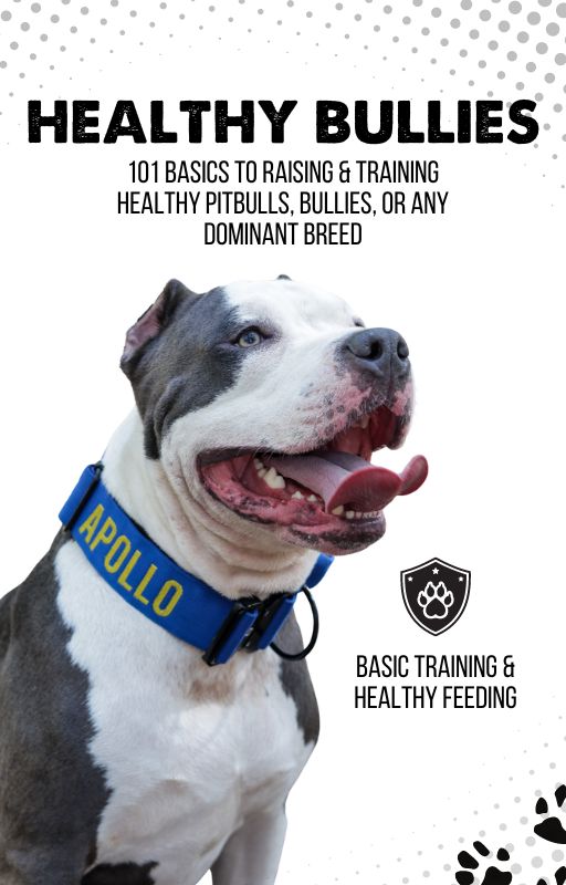 Healthy Bullies Ebook