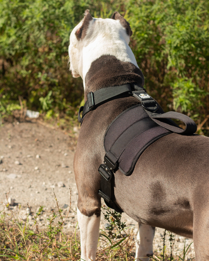 Heavy duty dog harness for strong pulling dogs