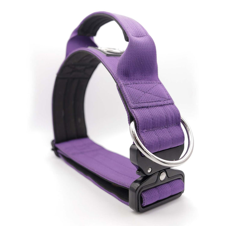 Thick dog collar for bully breeds, designed for strong pulling breeds, with personalization options for the dog’s name