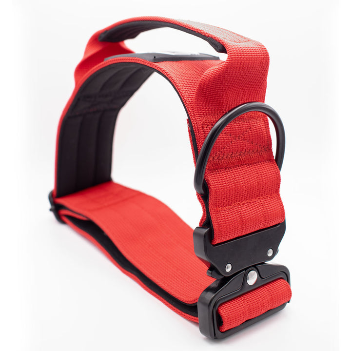 Thick dog collar for bully breeds, designed for strong pulling breeds, with personalization options for the dog’s name