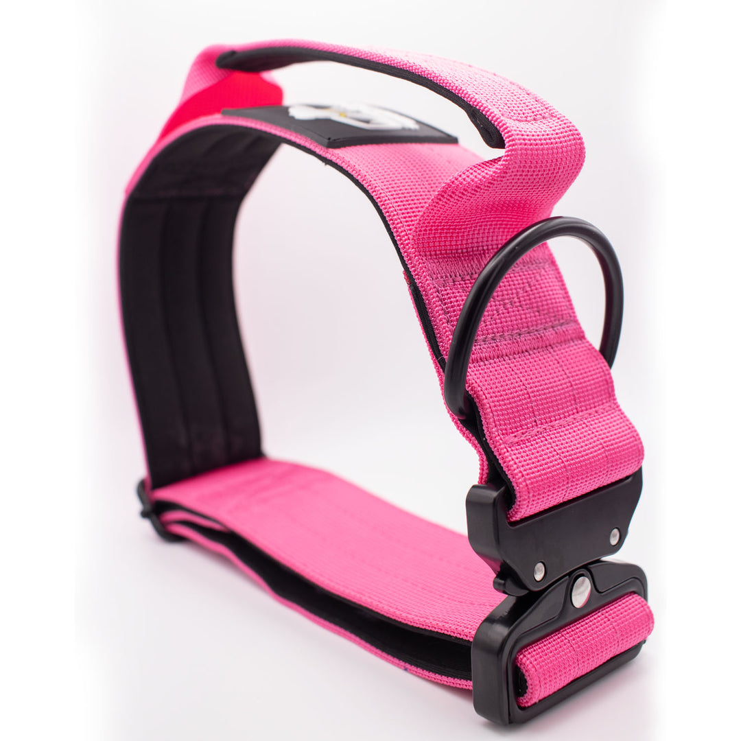 Thick dog collar for bully breeds, designed for strong pulling breeds, with personalization options for the dog’s name