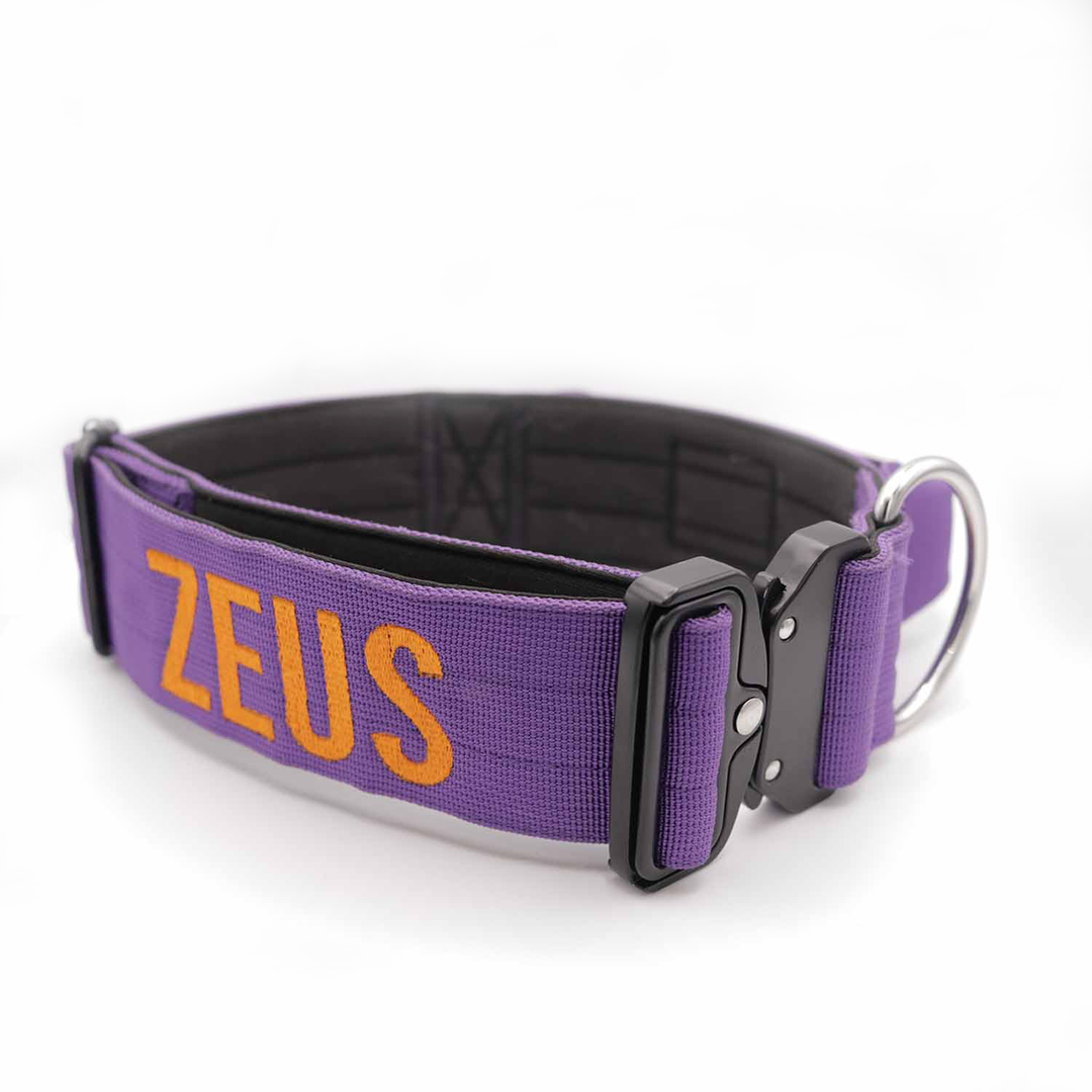Thick dog collar for bully breeds, designed for strong pulling breeds, with personalization options for the dog’s name