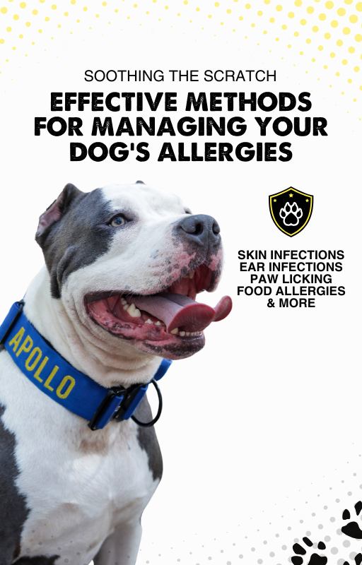 Effective Methods For Managing Your Dog's Allergies