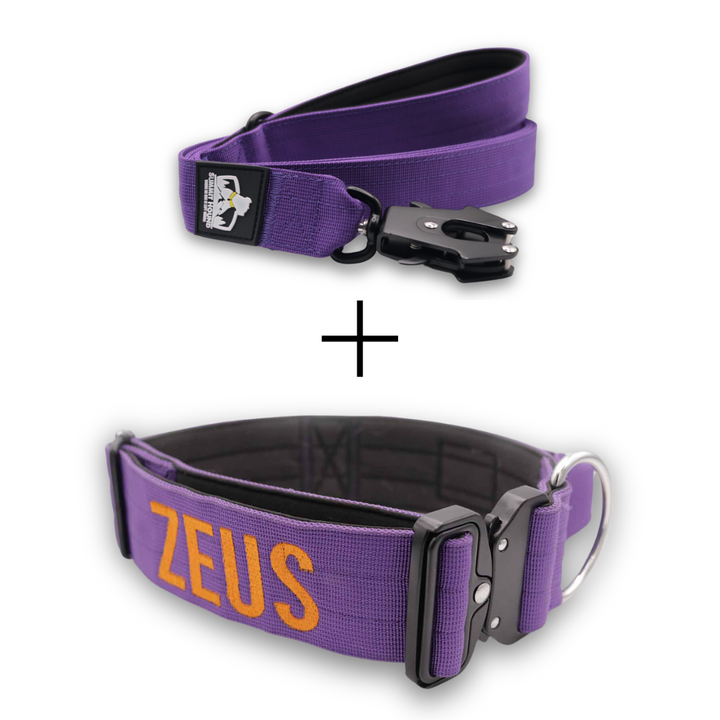 Bully Proof Set Leash + Collar