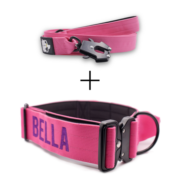 Bully Proof Set Leash + Collar