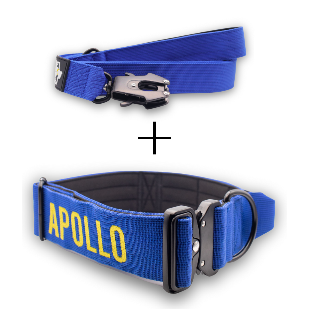 Bully Proof Set Leash + Collar