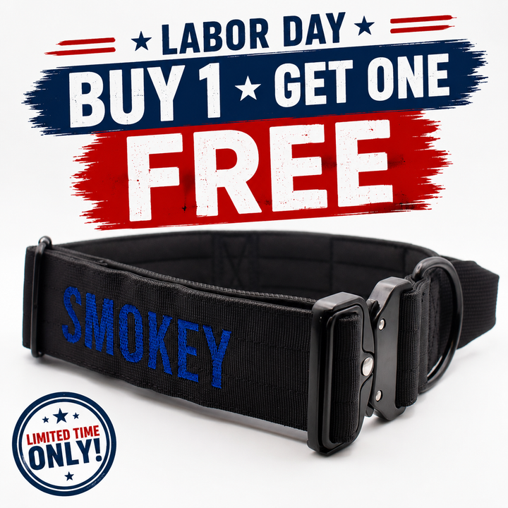 Bully Proof Collar