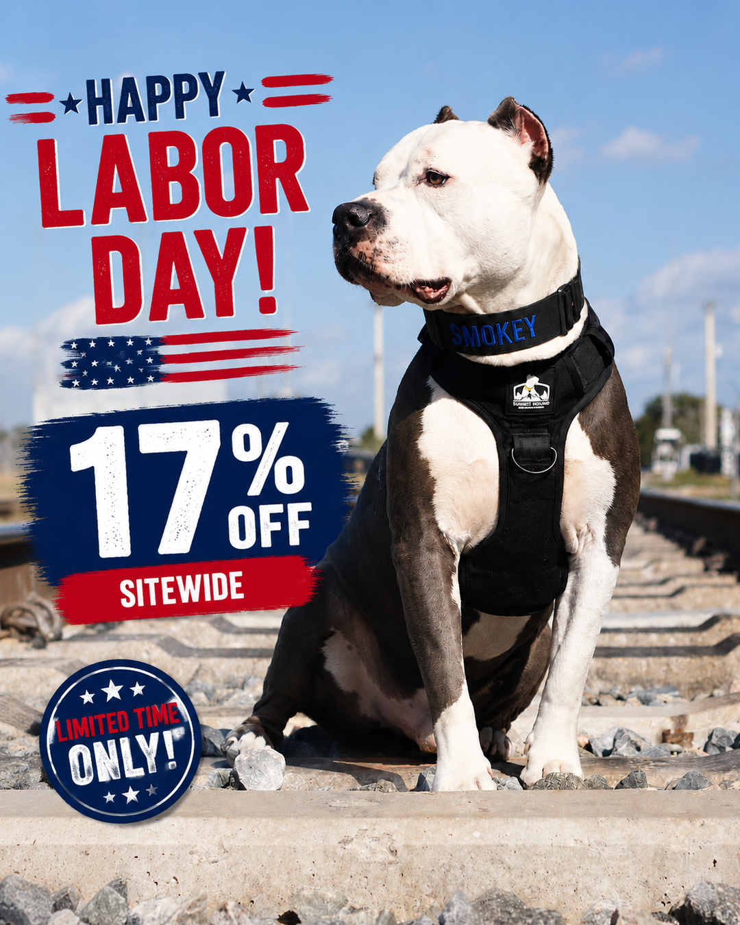 No Pull Bully Proof Harness