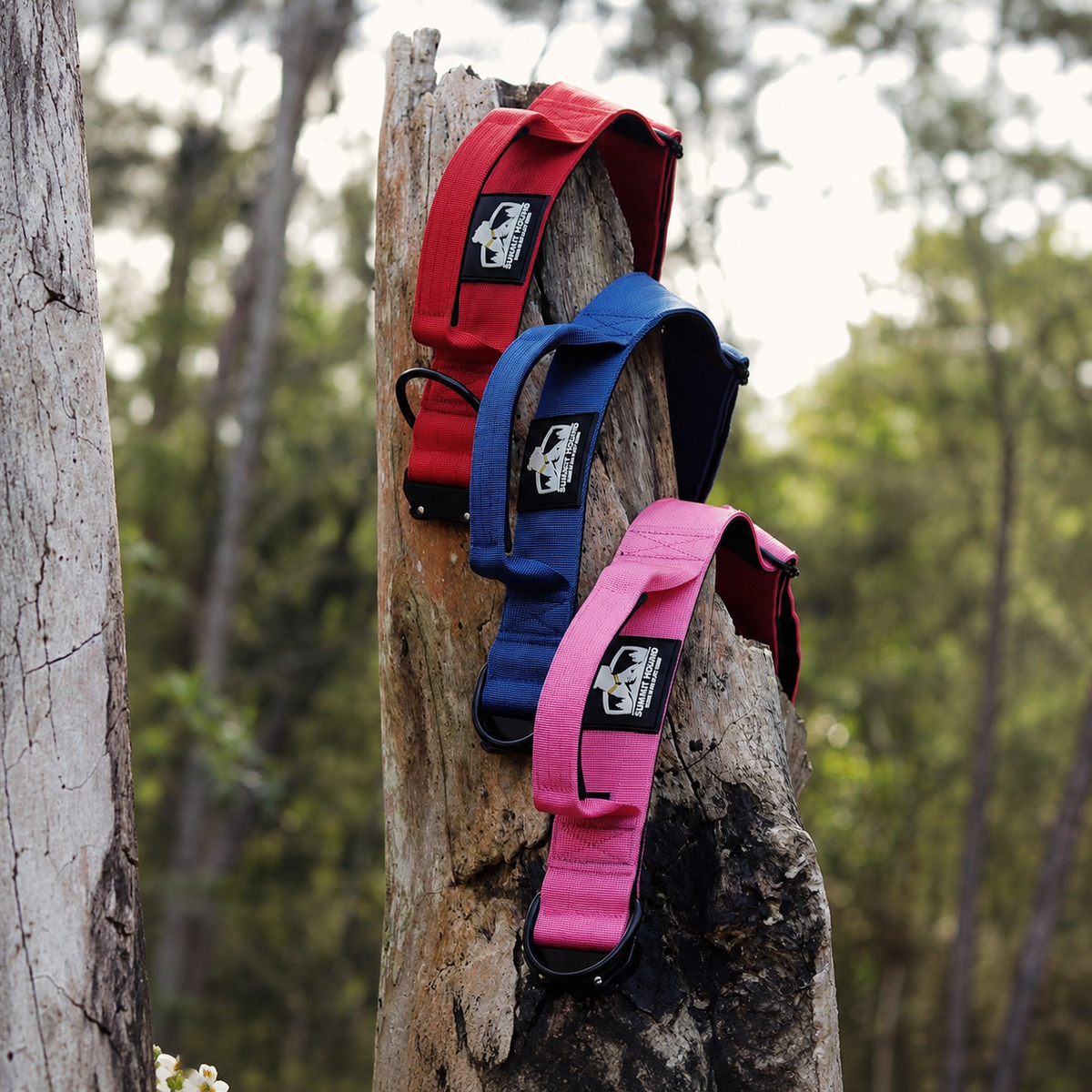 6. Engineered For Powerful Breeds From The Ground Up
