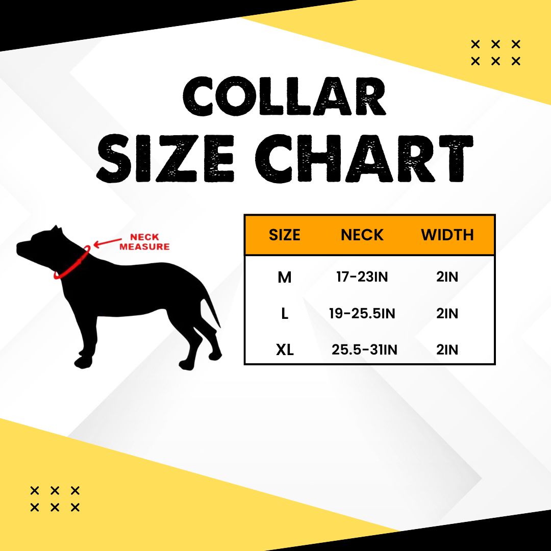 Black Bully Proof Collar