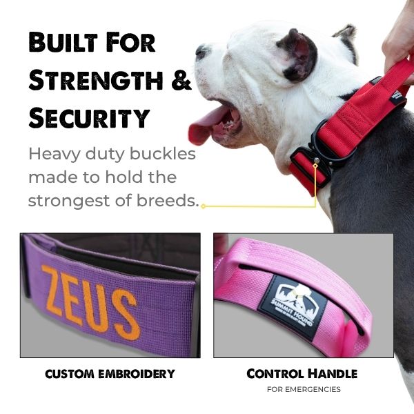 Green Bully Proof Collar