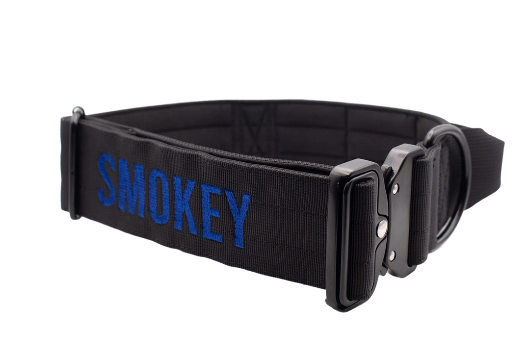 Personalized Bully Proof Collar
