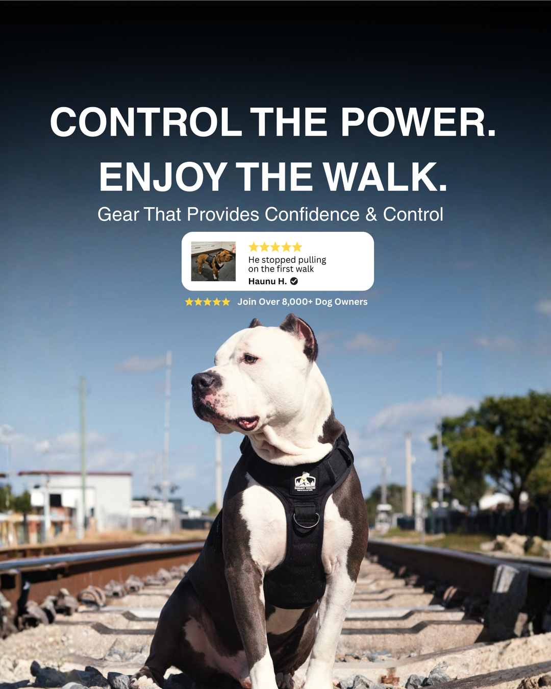 No Pull Bully Proof Harness