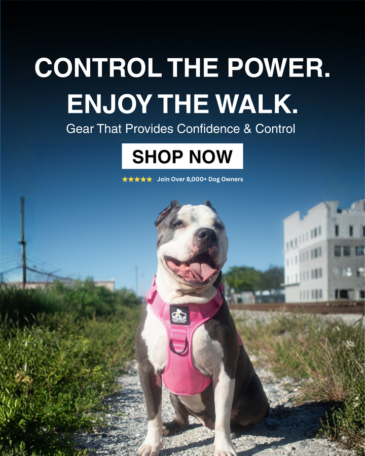 No Pull Bully Proof Harness