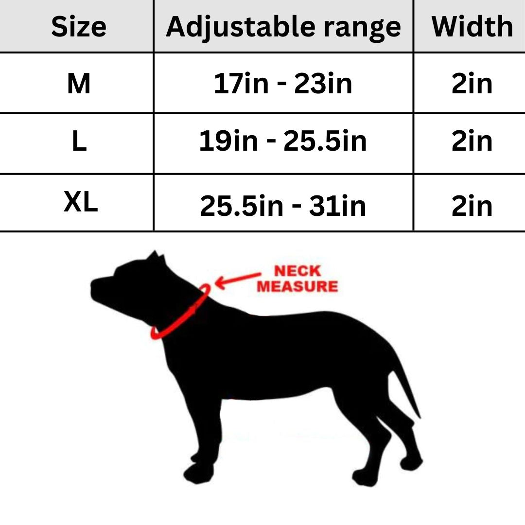Standard American Bully Standard American Bully Classic Standard