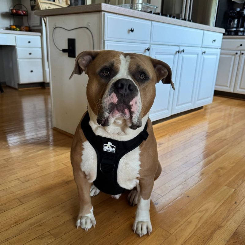 Spencer B. — Verified Buyer