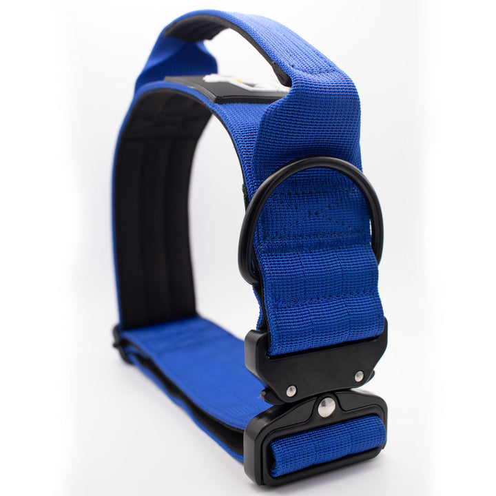 Thick dog collar for bully breeds, designed for strong pulling breeds, with personalization options for the dog’s name