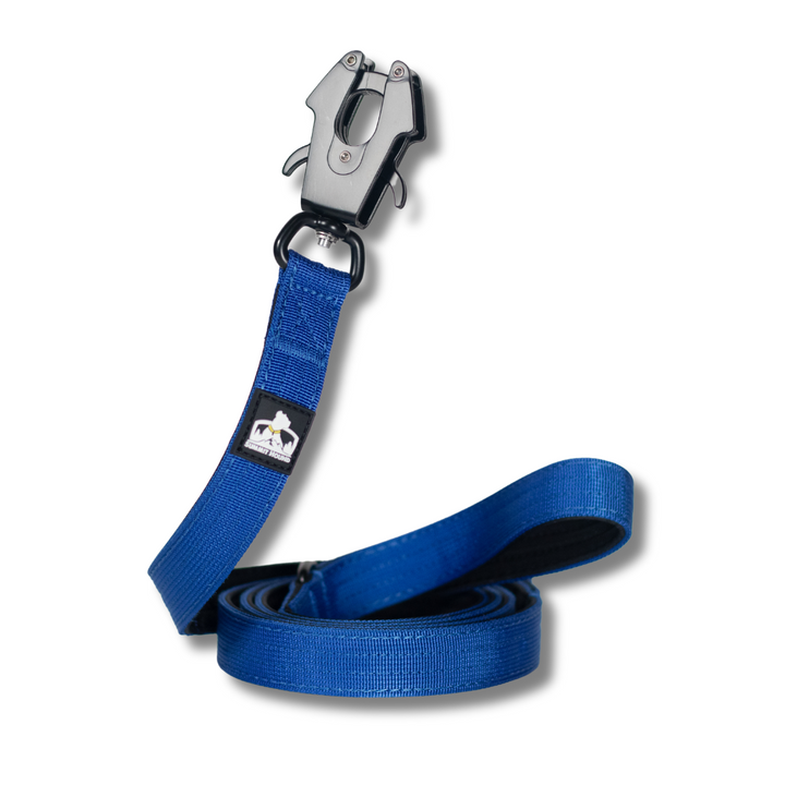 Heavy-duty dog leash for pitbulls and strong pulling breeds, featuring a secure handle and durable hardware.