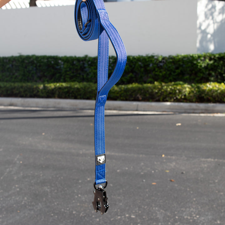 Heavy-duty dog leash for pitbulls and strong pulling breeds, featuring a secure handle and durable hardware.