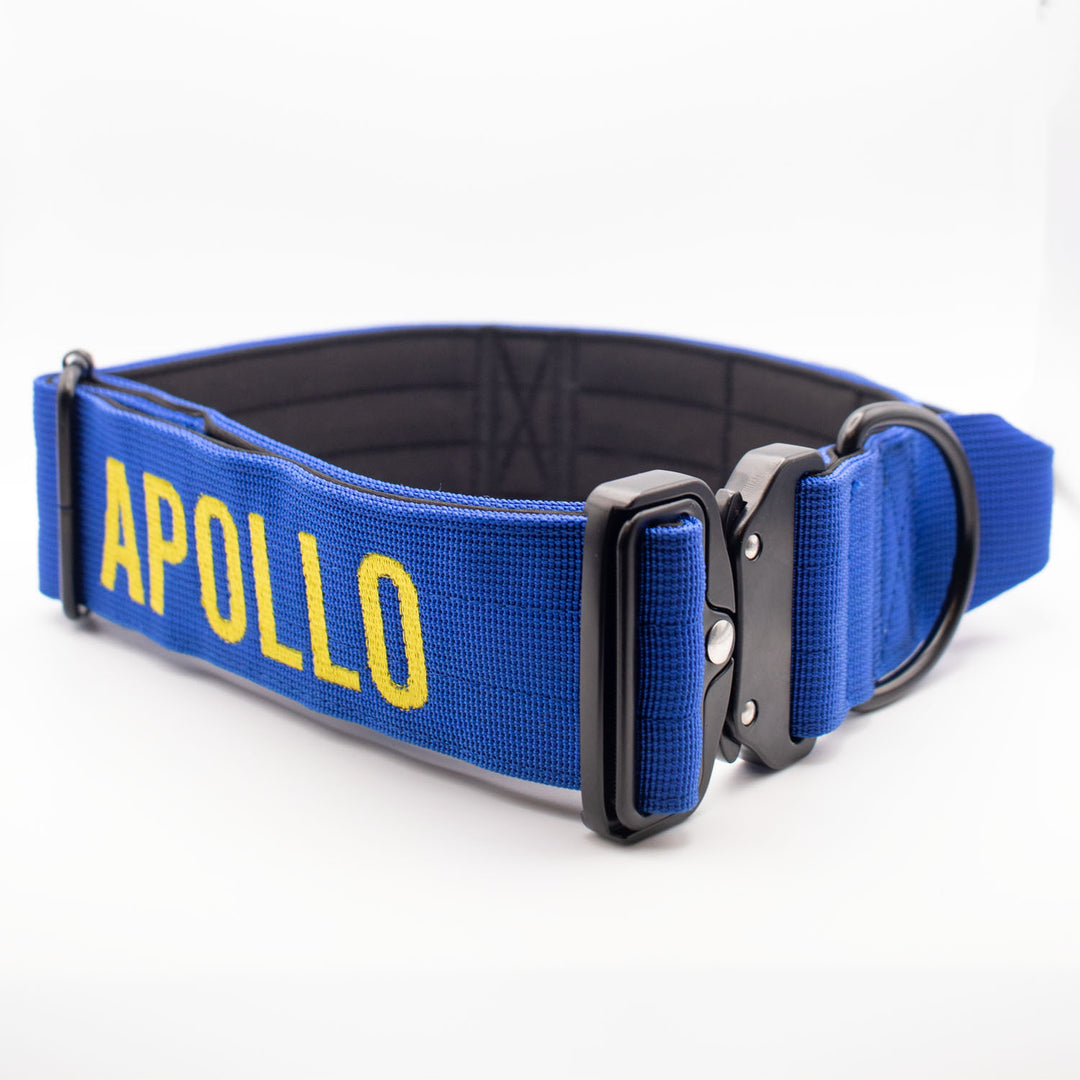 Thick dog collar for bully breeds, designed for strong pulling breeds, with personalization options for the dog’s name