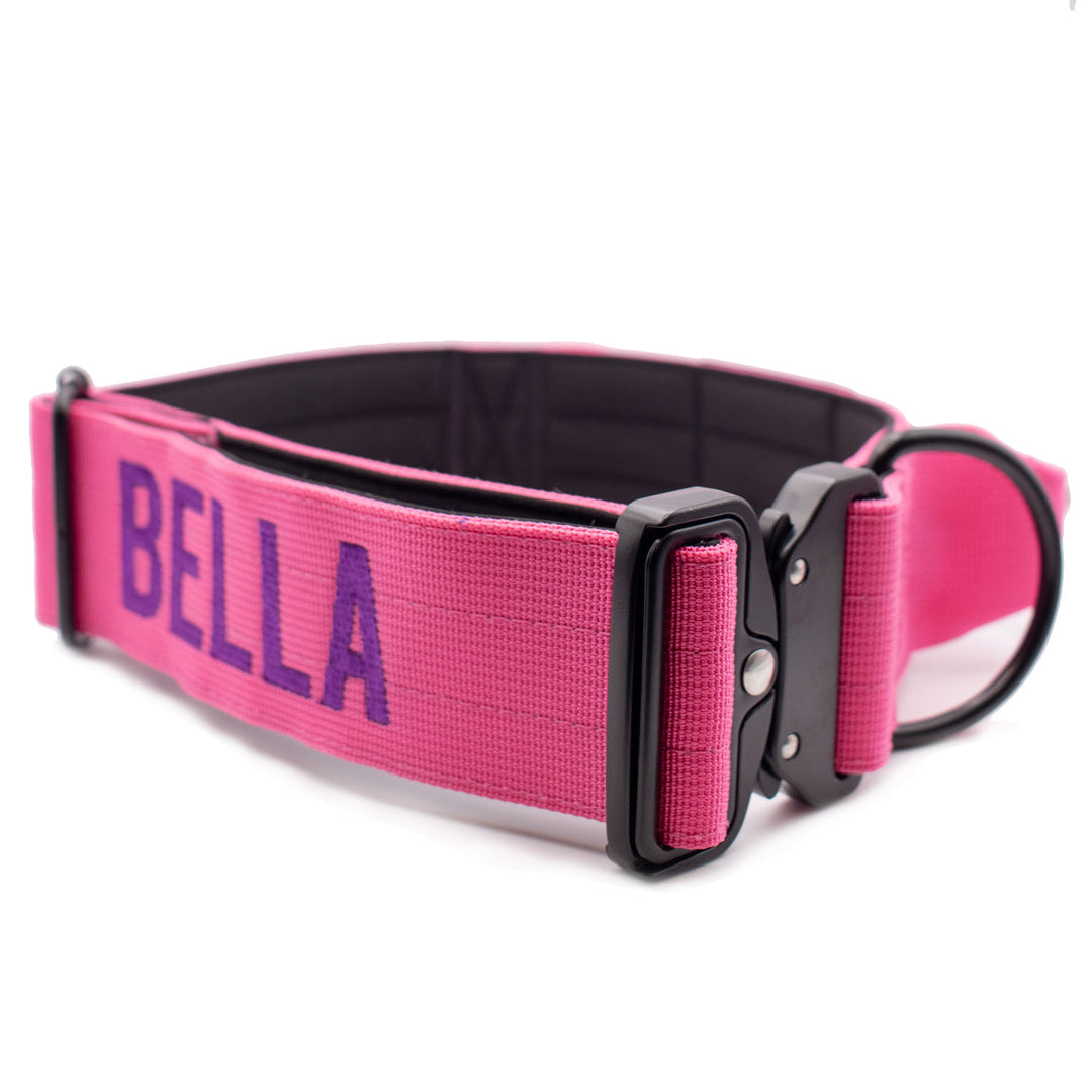 Thick dog collar for bully breeds, designed for strong pulling breeds, with personalization options for the dog’s name