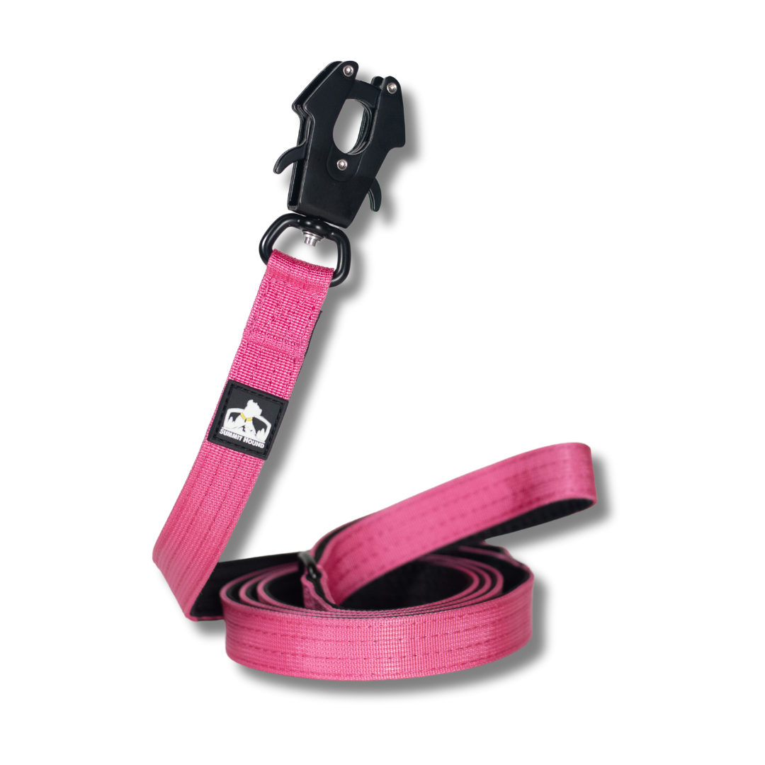 Heavy-duty dog leash for pitbulls and strong pulling breeds, featuring a secure handle and durable hardware.