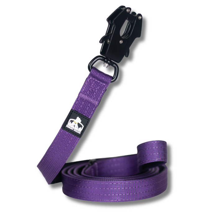 Heavy-duty dog leash for pitbulls and strong pulling breeds, featuring a secure handle and durable hardware.