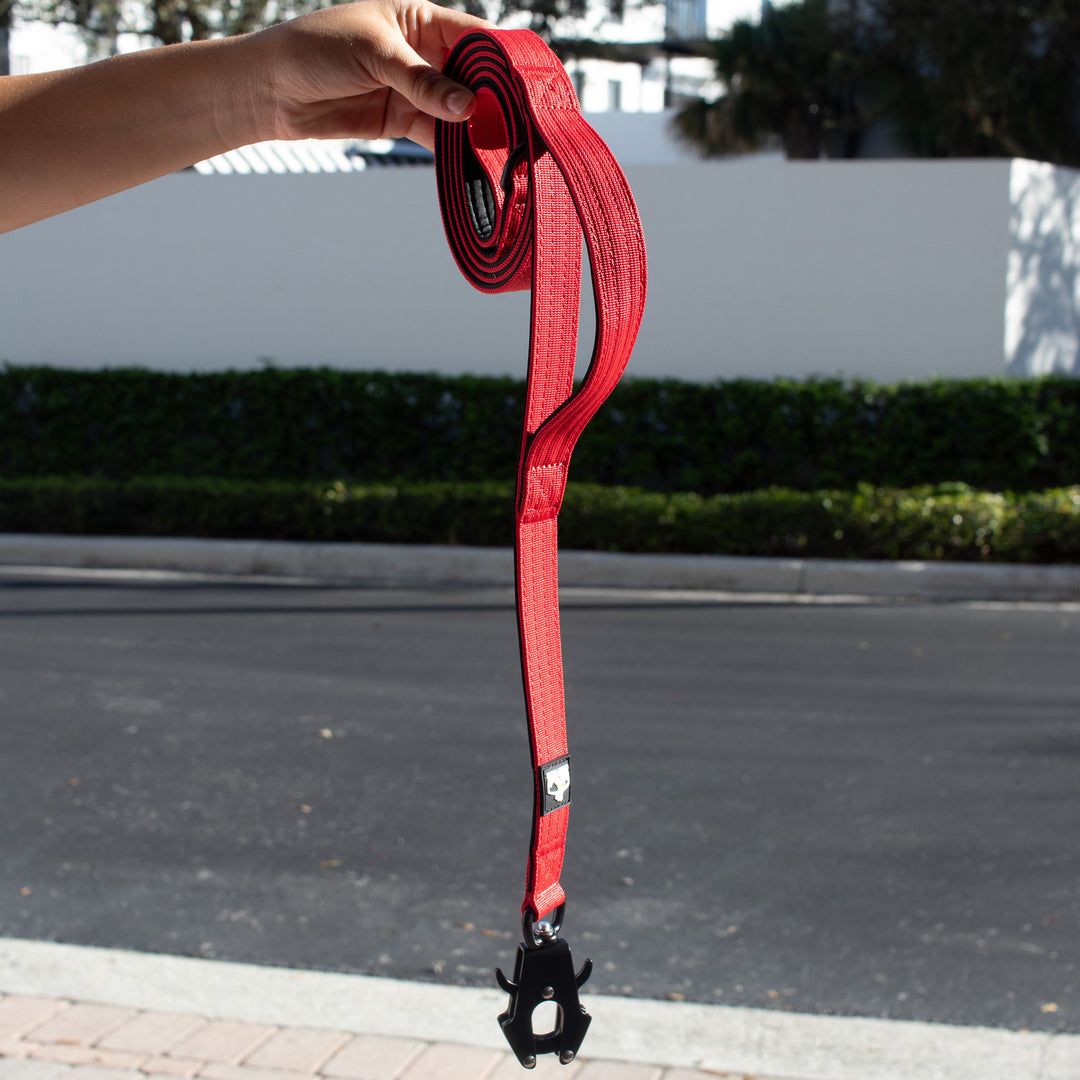 Heavy-duty dog leash for pitbulls and strong pulling breeds, featuring a secure handle and durable hardware.