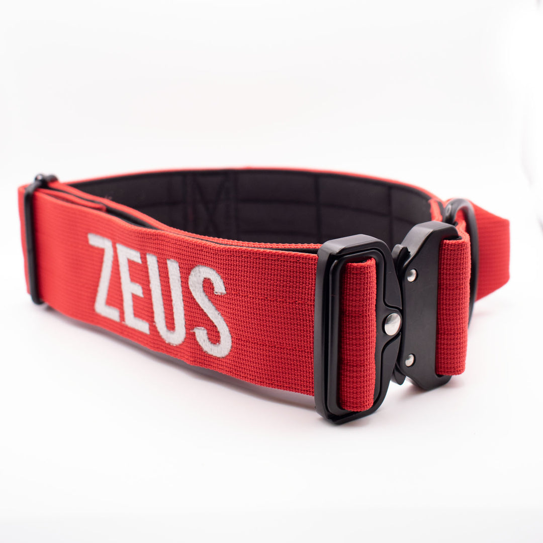 Thick dog collar for bully breeds, designed for strong pulling breeds, with personalization options for the dog’s name
